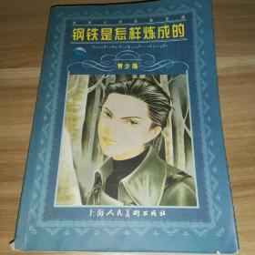 正版现货青少年版 钢铁是怎样练成的—世界文学名著宝库丛书