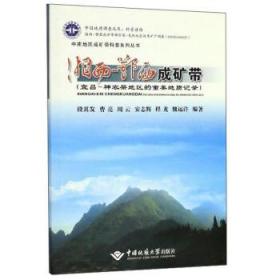 湘西-鄂西成矿带 中国地质大学出版社 段其发