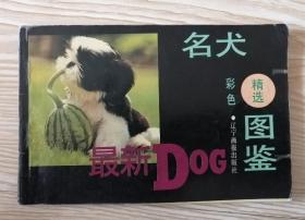 名犬精选彩色图鉴