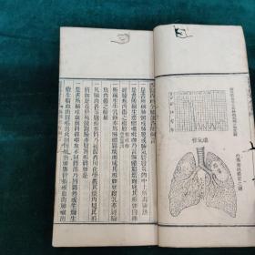西医内科全书肺部各症   一册