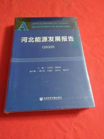 河北能源发展报告2020【全新没开封】