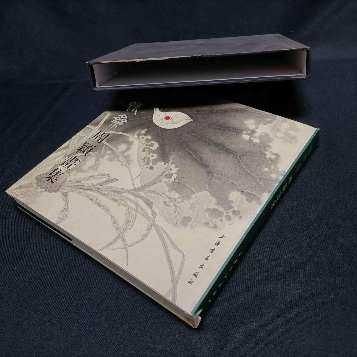 结蛛斋周颖画集周颖  著/ 上海书画出版社/ 2007-01/ 精装沪上书局