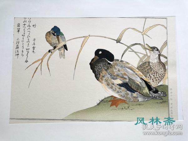 日本花鸟画 购买日本花鸟画相关商品 孔夫子旧书网