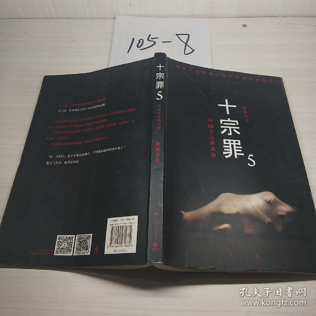 十宗罪5:中国十大凶杀案