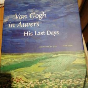 Van Gogh in Auvers: His Last Days[梵高在奥维尔：他最后的日子]