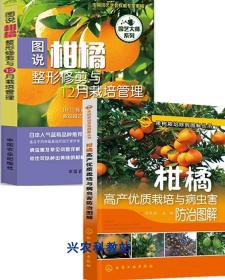 晚熟柑橘种植技术大全6光盘青见沃柑修剪柑桔桔子树栽培视频6书籍