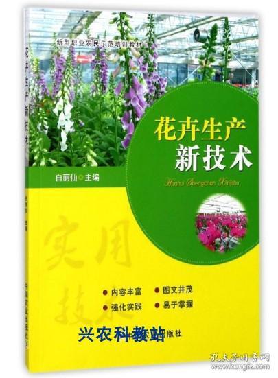 9499www威尼斯杂交兰花：市场新锐的双刃剑潜能与风险并存