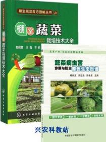 温室大棚蔬菜种植技术大全视频资料15光碟西葫芦丝瓜辣椒栽培书籍