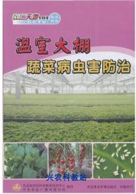 大棚蔬菜栽培技术大全15光盘|病虫防治蔬菜种植管理技术视频3书籍