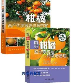 沃柑栽培技术大全视频资料|春见柑橘管理清见柑桔种植6光盘5书籍