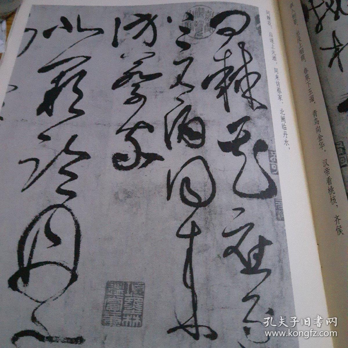 中国经典碑帖释文本之张旭古诗四帖肚痛帖