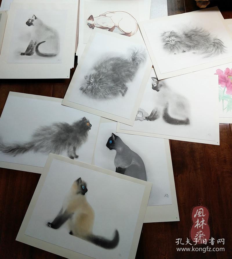 加山又造 猫与牡丹 正四开二十叶珂罗版画黑猫白猫铅笔水彩日本现代画大师名作河北伦明编修日本现代画家素描选集 孔夫子旧书网
