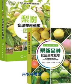 2021梨子树种植技术大全4书籍梨冬季修剪雪梨黄梨树栽培视频4光盘