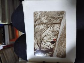 八十年代哈尔滨江边风景照片，彩色照片，百年老江桥照片，满满一册，44张合售，江边雪中漫步，哈尔滨风光无限好，珍贵历史资料，