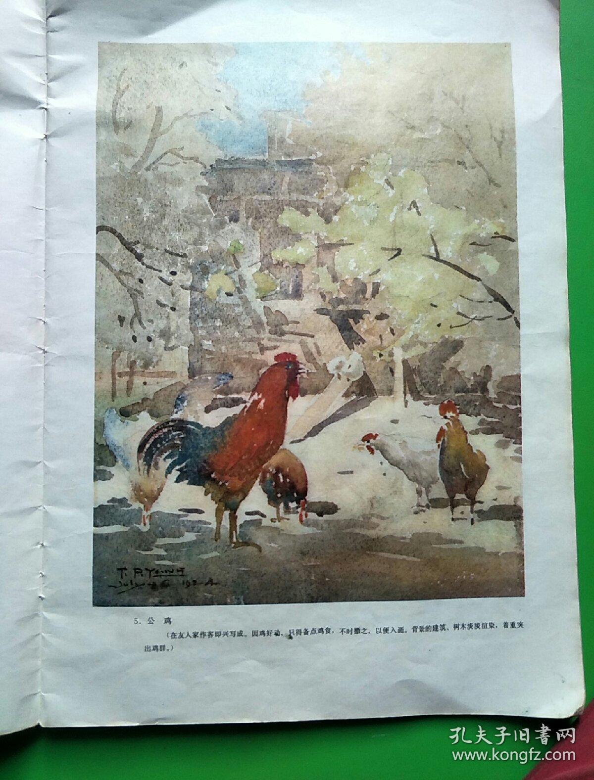 杨廷宝水彩画选