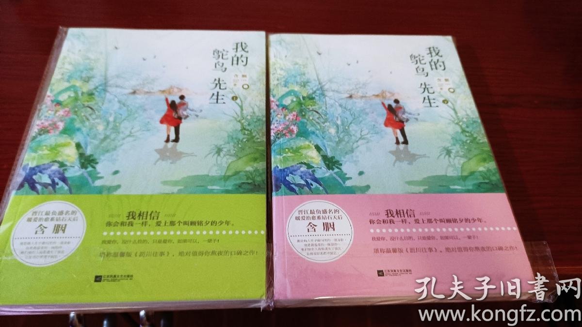 我的鸵鸟先生 孔夫子旧书网