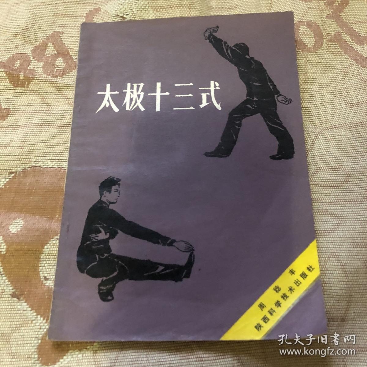太极十三式周稔丰86年版太极拳经典陕西科学技术出版社