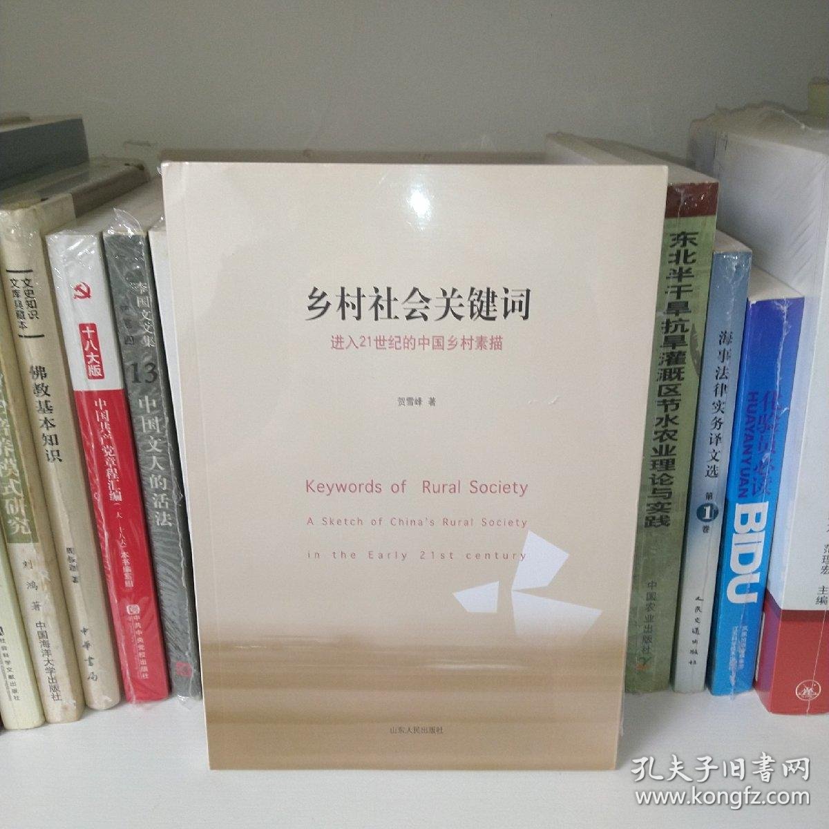 乡村社会关键词 进入21世纪的中国乡村素描 孔夫子旧书网