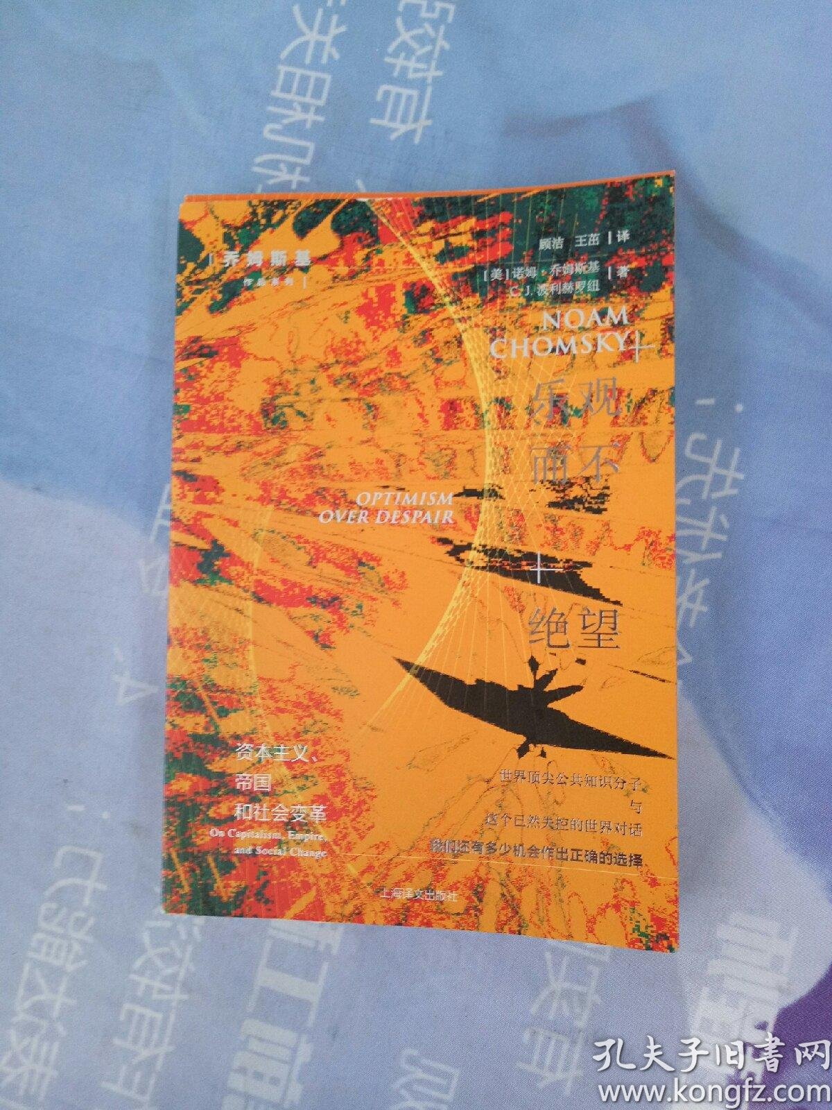 乐观而不绝望(乔姆斯基作品系列)