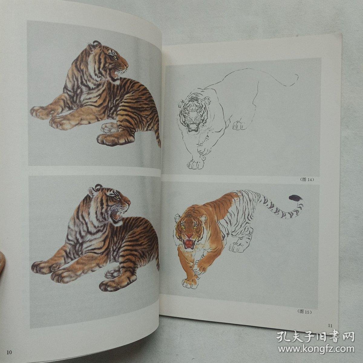 怎样画虎——美术爱好者之友