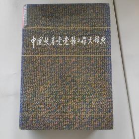 中国共产党党务工作大词典，1.6公斤