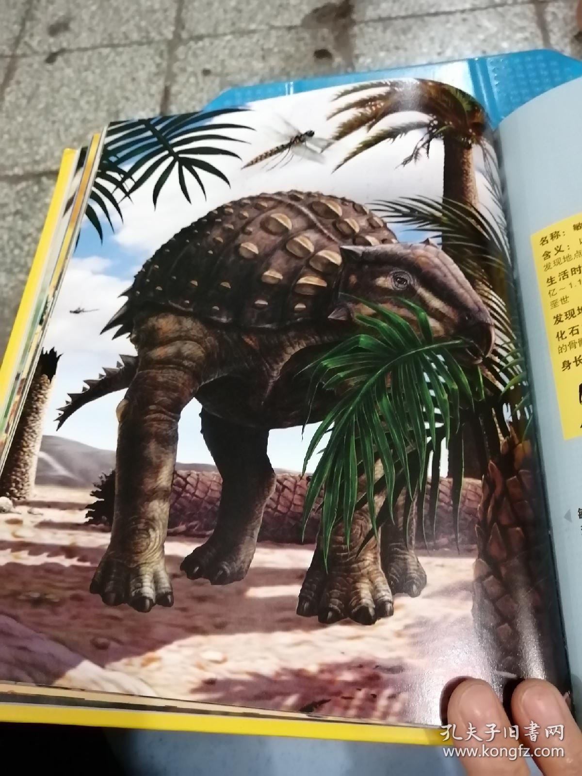 美国国家地理终极恐龙百科(超值版)