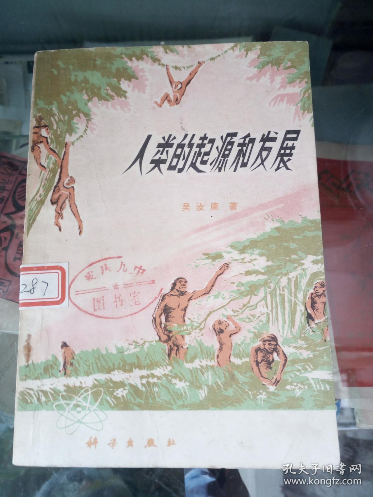 人类的起源和发展