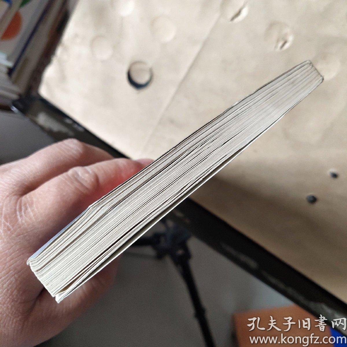 当鞋合脚时:奥修人生箴言系列