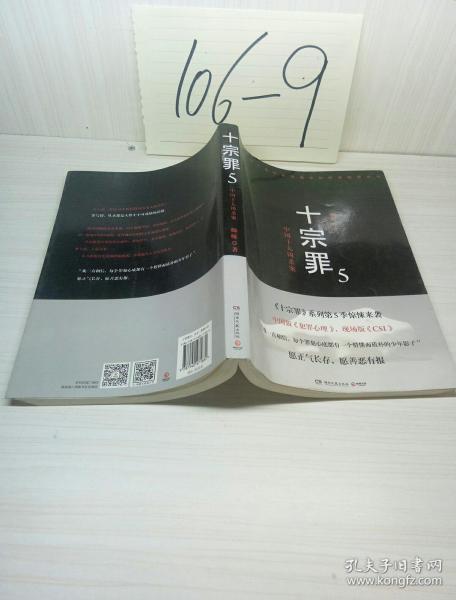 十宗罪5:中国十大凶杀案