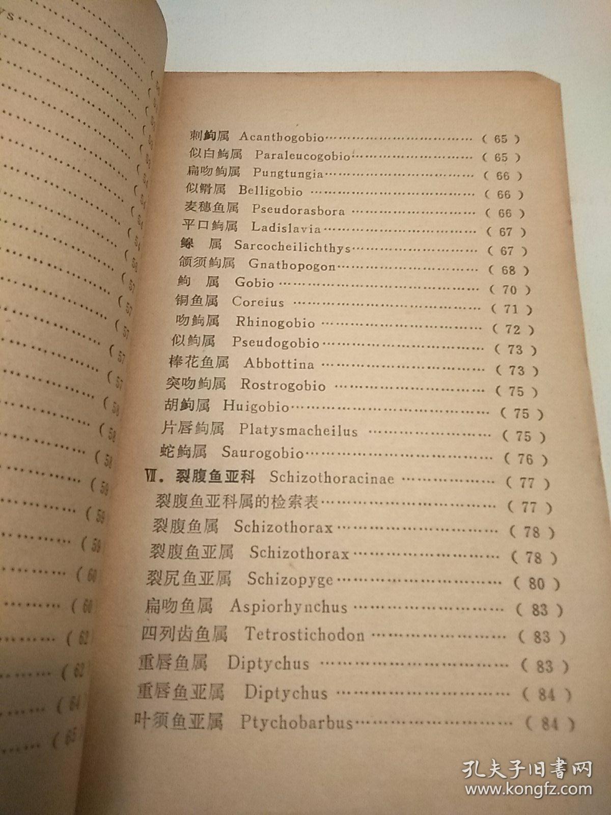 中国鲤科鱼类检索表(增订本)