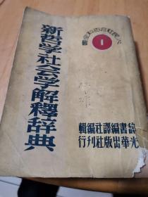 新哲学社会学解释辞典