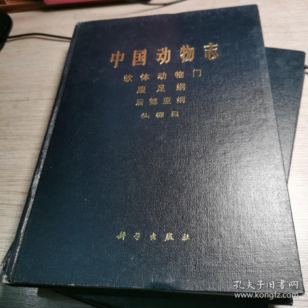 中国动物志 软体动物门 腹足纲 后鳃亚纲 头楯目 中国科学院中国动物志编辑委员会主编 孔夫子旧书网 中国动物志 软体动物门 腹足纲 后鳃亚纲 头楯目 中国科学院中国动物志编辑委员会主编 孔夫子旧书网