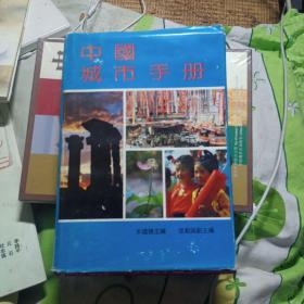 中国城市手册（精装）