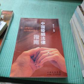 中国婚姻法律指南:新《婚姻法》适用案例精析