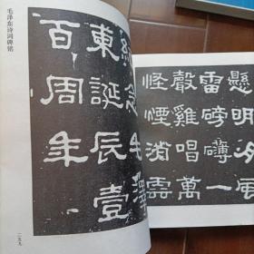 毛泽东诗词碑铭(大型碑帖艺术作品，印量仅1500册)
