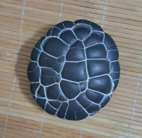 龟纹石原石,神奇的龟纹石,纯天然顶级奇石"神龟",稀有,象形奇石"网"