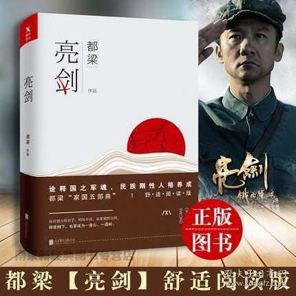 亮剑小说
