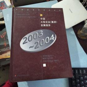 中国大型企业（集团）发展报告2003-2004