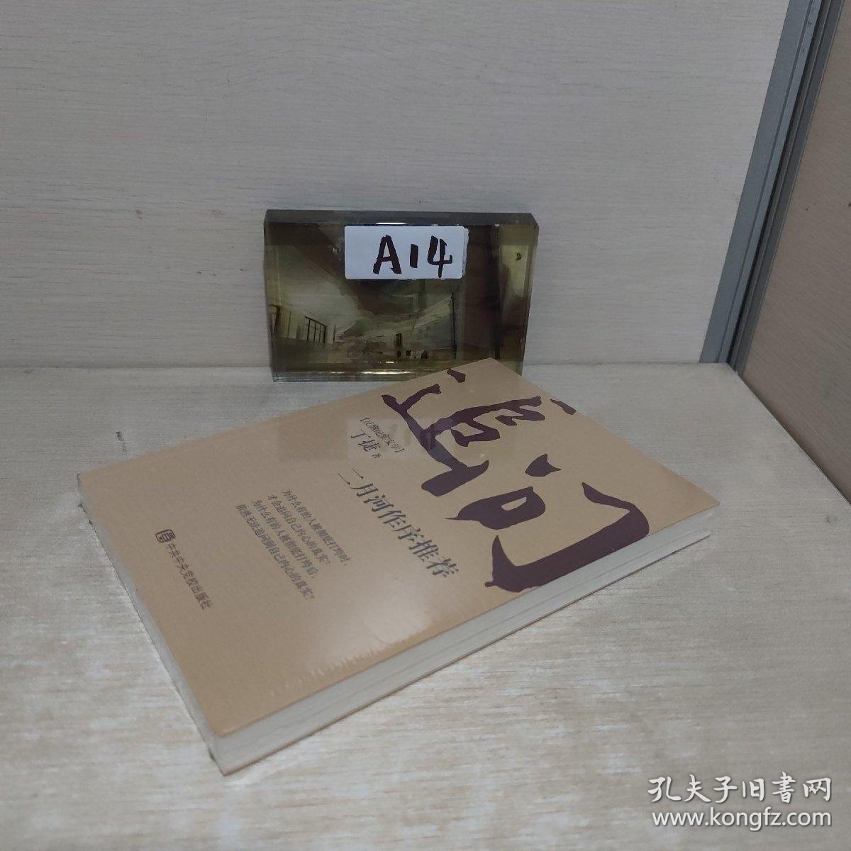 追问_丁捷 著_孔夫子旧书网