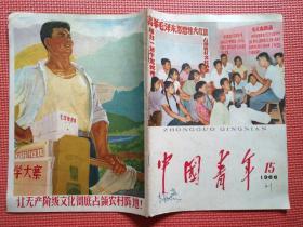 中国青年1966年15期