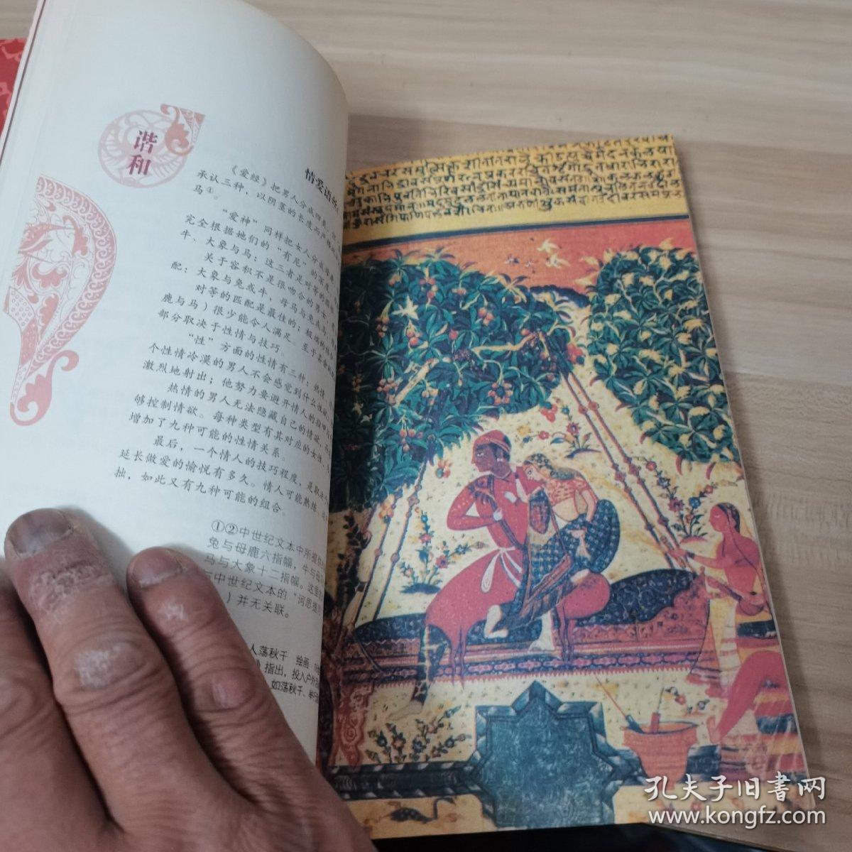 爱经(内页干净)