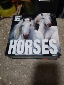 Horses (CubeBook)[马儿, CubeBook]