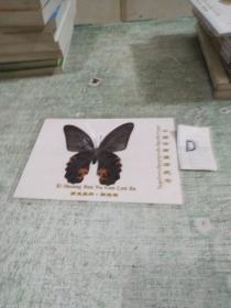 蝴蝶标本：西双版纳 橄榄坝（带塑封护套）