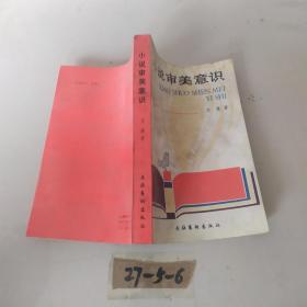 小说审美意识