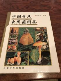 中国常见食用菌图鉴
