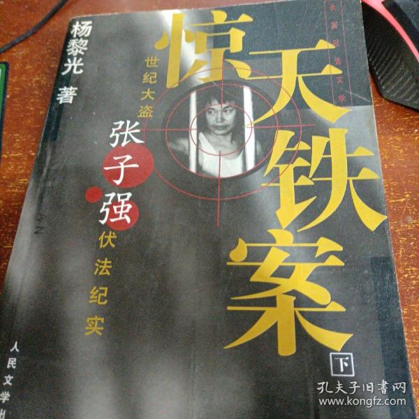 惊天铁案(上下)