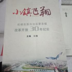 小镇飞翔—松桃苗族自治县蓼皋镇改革开放30年纪实。