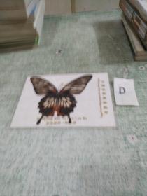 蝴蝶标本：:西双版纳   橄榄坝（带塑封护套）