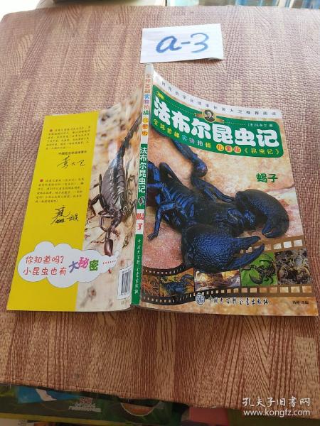 法布尔昆虫记--蝎子
