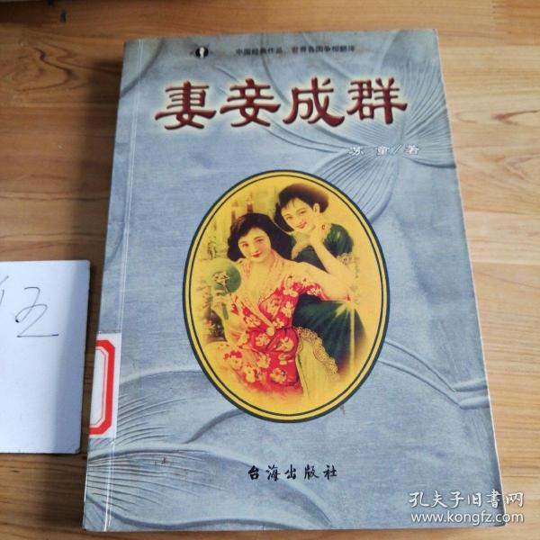 妻妾成群